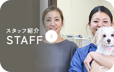 スタッフ紹介